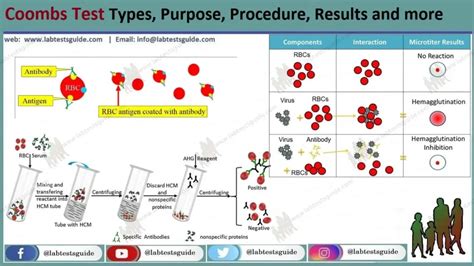 coombs test blood bottle|coombs test leaflet.